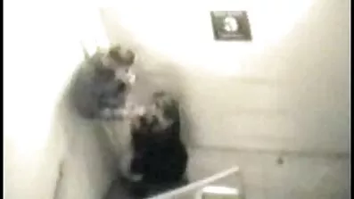 Brookl ChaseN Chase och den svarta älskaren slutar. amatör sexfilmer