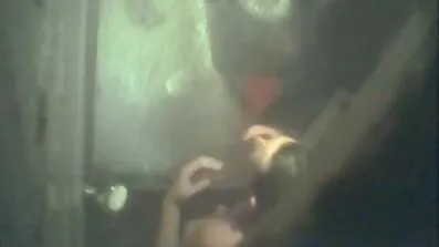 Jävla amatör sexfilmer naiv tjej på bussen.